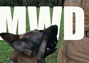 Bonds that secure the base