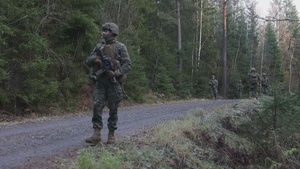 U.S. Marines Conduct Simulated Combat Patrols (B-Roll)