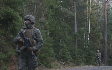 U.S. Marines Conduct Simulated Combat Patrols (B-Roll)