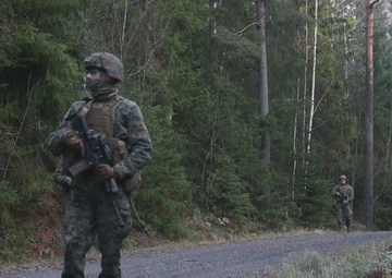 U.S. Marines Conduct Simulated Combat Patrols (B-Roll)