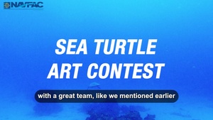 World Turtle Day