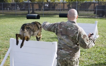 Military Working Dog Kerry Retires