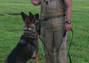 MWD bonds securing the base b-roll