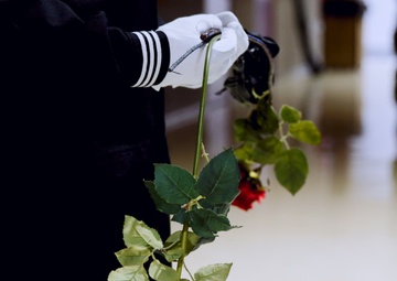 DMVA Veterans Day 2024