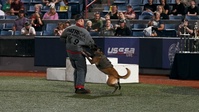 45th Security Forces Squadron competes in 2024 Space Coast K-9 Competition