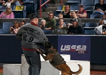 45th Security Forces Squadron competes in 2024 Space Coast K-9 Competition