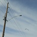 Arizona Military Town hosts 29th Annual Veterans Day Parade.