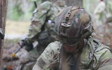 Estonian division commander observes 10th Mtn. Div. live fire exercise