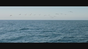 11th Air Force Mission Video