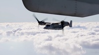 Combined Joint Task Force-Horn of Africa: Air Combat Element