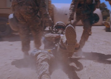 Inside Exercise Global Medic: Mastering Mass Casualty Situations