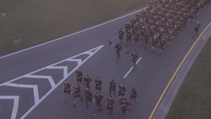 Marne Week 2024: Division Run