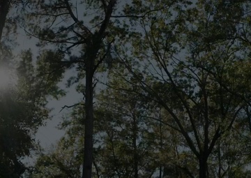 Green Goblin 24 RAT Reel