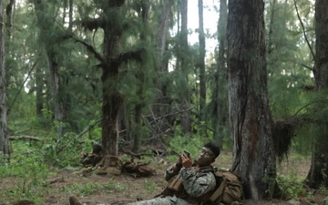 3d LCT conducts Platoon Attacks at MCTAB