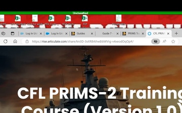 PRIMS Webinar 241125