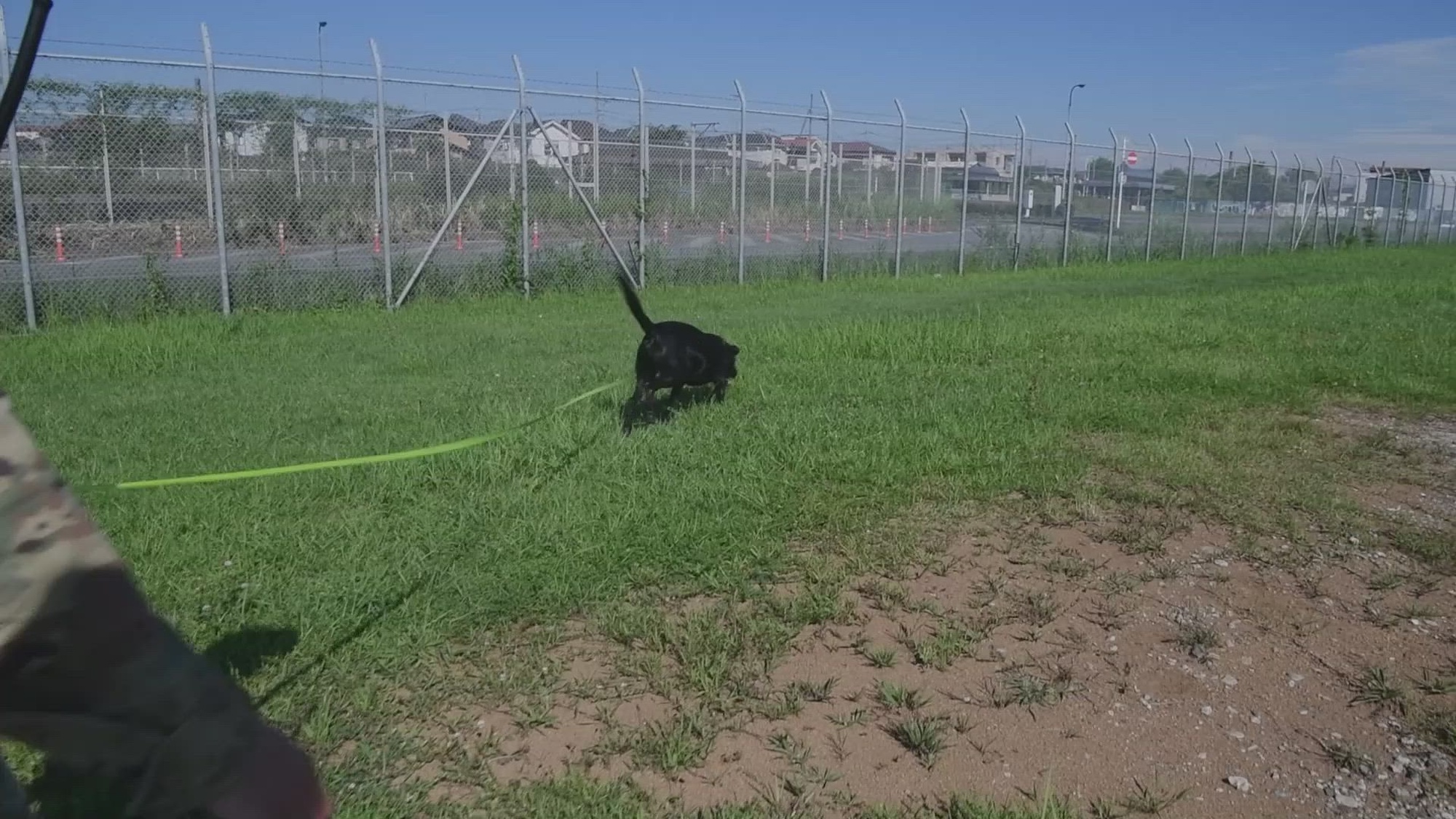 Yokota Air Base&#39;s TSgt Jeremy Hammer, 374 SFS Military Working Dog Kennel Master, talks about what their mission is here on Yokota Air Base. He also mentions how other security force members can cross train into the field. (U.S. Air Force video by Staff Sergeant James Kennedy)