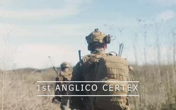 1st ANGLICO CERTEX