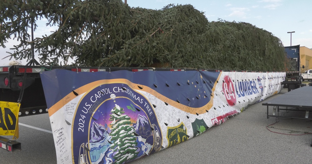 DVIDS - Video - U.S. Capitol Christmas Tree viewing at Joint Base Andrews