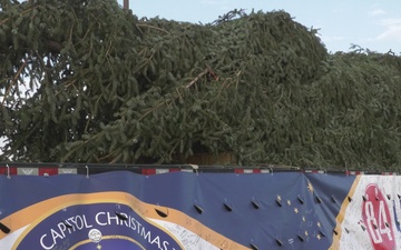 U.S. Capitol Christmas Tree viewing at Joint Base Andrews