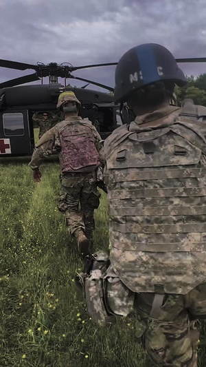 KFOR Golden Sabre Medical Capabilities