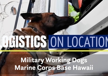 Logistics On Location: Military Working Dogs, Marine Corps Base Hawaii (open caption)