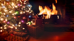 NAVFAC Pacific Commander's and AOR Holiday Greetings