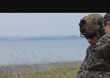 Battalion Landing Team 2/4 conducts mass casualty exercise