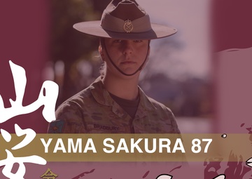 Faces of Yama Sakura 87