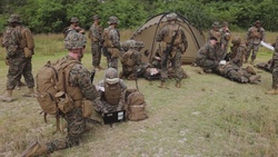 CLB-31 conducts Mass Casualty Exercise