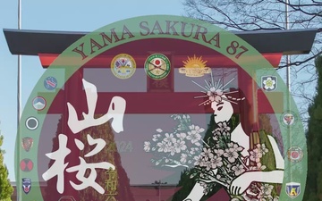 Yama Sakura 87