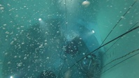 Preparing Submariners- High-Risk Trainers