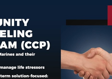 Community Counseling Program PSA