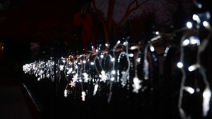 Season's Greetings from Naval District Washington 2024