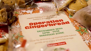 Operation Gingerbread