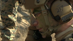 Korea Viper 25.1 Company Attack