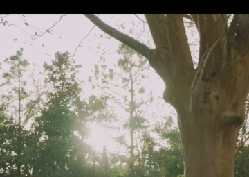 Yellow Ribbon Reintegration Program 2024