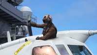 E-2D Advanced Hawkeyes B-roll package