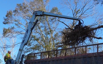 Hurricane Helene Recovery: Georgia Debris Removal