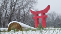 Fort Campbell Winter Storm 2025 (B-Roll)