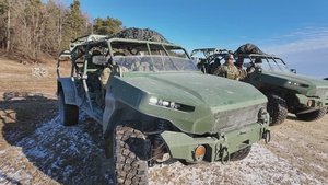10th Mountain Division begins joint exercise Combined Resolve 25-1