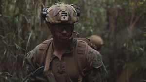 III Marine Expeditionary Force Highlight