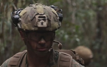 III Marine Expeditionary Force Highlight