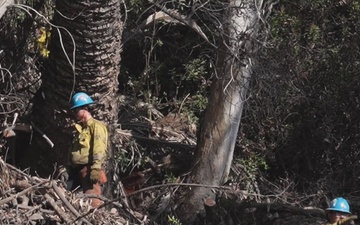 Firefighter Continue Debris Removal and Search Efforts for LA County Wildfires