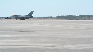 B-roll Sentry Savannah