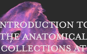 NMHM Anatomical Collections Video