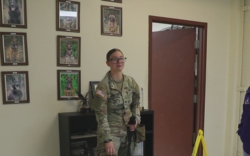 226th Military Working Dog Detachment Demonstration