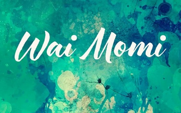 Wai Momi - January