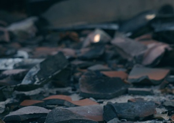 MPs Support Palisades Fire