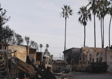 Palisades Fire B-Roll