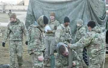 Strength Through Partnership: U.S. Soldiers and Allies Enhance Interoperability at Combined Resolve 25-1